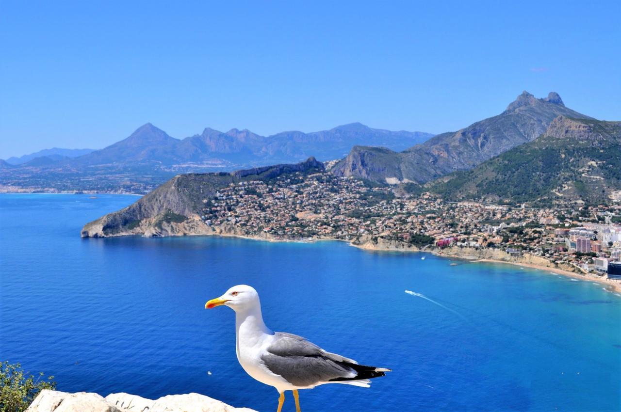 Appartement Aman128 Calp