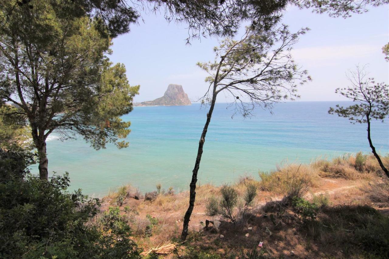 Aman128 * Calp